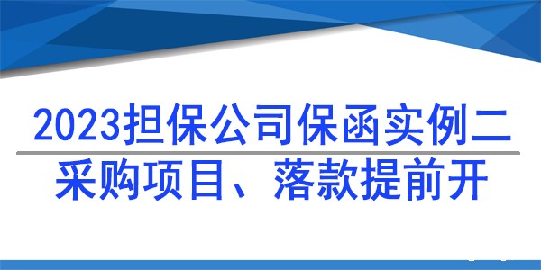 采购项目担保公司保函,担保公司保函