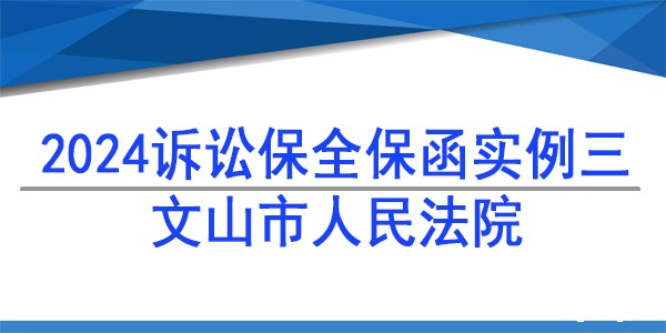 诉讼保全,财产保全,文山市人民法院
