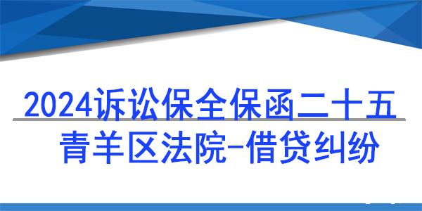 成都市青羊区人民法院,诉讼保全