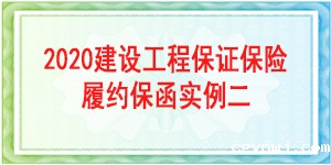 保证保险保函,保险保函
